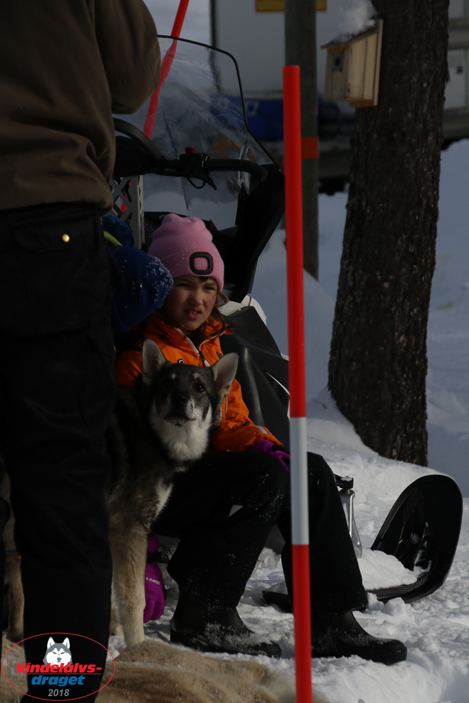 2018_Lordag-58.jpg