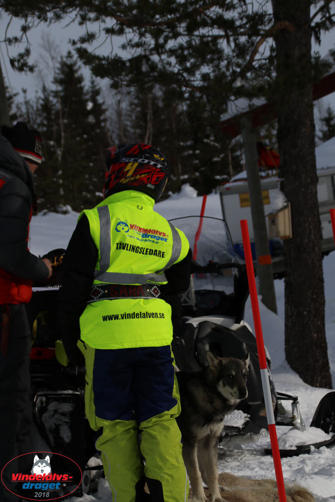 2018_Lordag-59.jpg