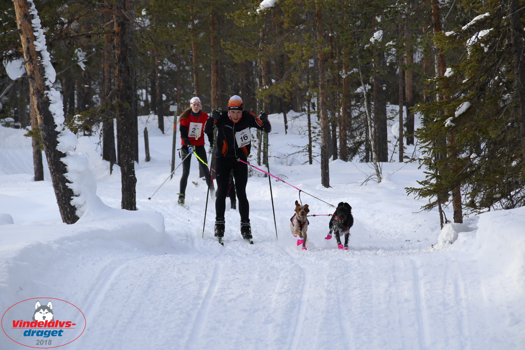2018_Lordag-85.jpg