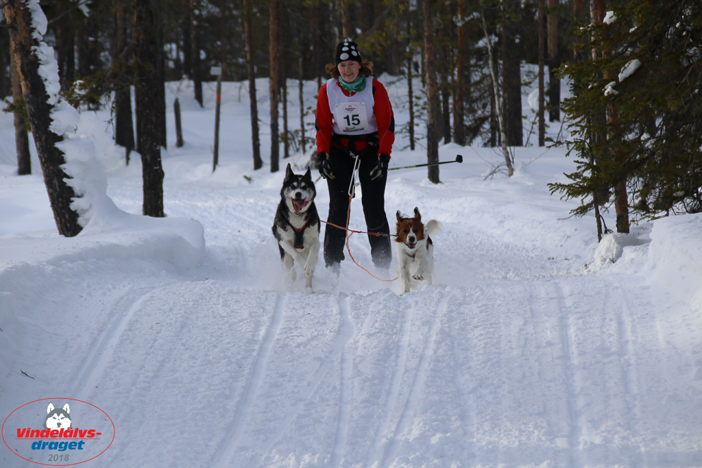 2018_Lordag-87.jpg