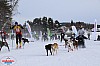 2018_Lordag-17.jpg