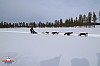 2018_Lordag-71.jpg