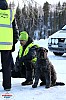 2018_Sondag-2372.jpg 2018_Sondag-2372.jpg