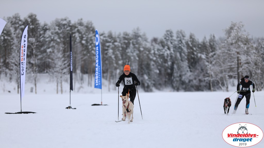Vindelalvsdraget2019Fredag-89.jpg