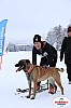 Vindelalvsdraget2019Fredag-109.jpg Vindelalvsdraget2019Fredag-109.jpg