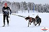 Vindelalvsdraget2019Fredag-86.jpg Vindelalvsdraget2019Fredag-86.jpg