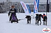 Vindelalvsdraget2019Fredag-92.jpg Vindelalvsdraget2019Fredag-92.jpg