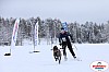 Vindelalvsdraget2019Fredag-97.jpg Vindelalvsdraget2019Fredag-97.jpg