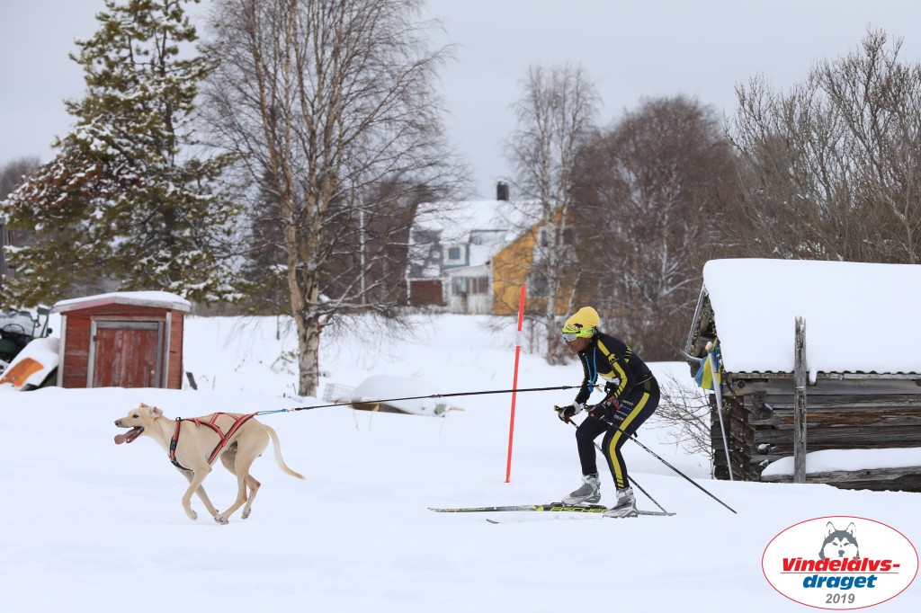 Vindelalvsdraget2019Lordag (49).jpg
