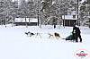 Vindelalvsdraget2019Lordag (21).jpg