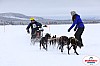 Vindelalvsdraget2019Lordag (27).jpg