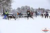 Vindelalvsdraget2019Lordag (6).jpg