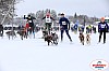 Vindelalvsdraget2019Lordag (8).jpg