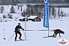 Vindelalvsdraget2019Lordag (80).jpg