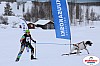 Vindelalvsdraget2019Lordag (83).jpg