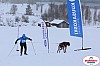Vindelalvsdraget2019Lordag (93).jpg