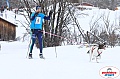 Vindelalvsdraget2019Sunday-11.jpg Vindelalvsdraget2019Sunday-11.jpg