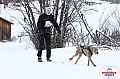 Vindelalvsdraget2019Sunday-14.jpg Vindelalvsdraget2019Sunday-14.jpg