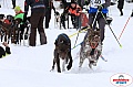 Vindelalvsdraget2019Sunday-20.jpg Vindelalvsdraget2019Sunday-20.jpg
