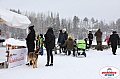 Vindelalvsdraget2019Sunday-34.jpg Vindelalvsdraget2019Sunday-34.jpg