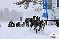 Vindelalvsdraget2019Sunday-41.jpg Vindelalvsdraget2019Sunday-41.jpg