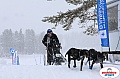 Vindelalvsdraget2019Sunday-42.jpg Vindelalvsdraget2019Sunday-42.jpg