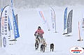 Vindelalvsdraget2019Sunday-43.jpg Vindelalvsdraget2019Sunday-43.jpg