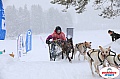 Vindelalvsdraget2019Sunday-44.jpg Vindelalvsdraget2019Sunday-44.jpg