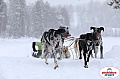 Vindelalvsdraget2019Sunday-46.jpg Vindelalvsdraget2019Sunday-46.jpg