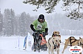 Vindelalvsdraget2019Sunday-47.jpg Vindelalvsdraget2019Sunday-47.jpg