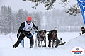 Vindelalvsdraget2019Sunday-49.jpg Vindelalvsdraget2019Sunday-49.jpg