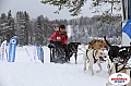 Vindelalvsdraget2019Sunday-52.jpg Vindelalvsdraget2019Sunday-52.jpg