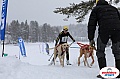 Vindelalvsdraget2019Sunday-57.jpg Vindelalvsdraget2019Sunday-57.jpg