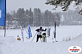 Vindelalvsdraget2019Sunday-59.jpg Vindelalvsdraget2019Sunday-59.jpg