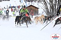 Vindelalvsdraget2019Sunday-6.jpg Vindelalvsdraget2019Sunday-6.jpg