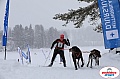 Vindelalvsdraget2019Sunday-63.jpg Vindelalvsdraget2019Sunday-63.jpg