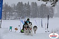 Vindelalvsdraget2019Sunday-65.jpg Vindelalvsdraget2019Sunday-65.jpg