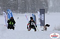 Vindelalvsdraget2019Sunday-66.jpg Vindelalvsdraget2019Sunday-66.jpg