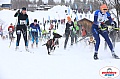 Vindelalvsdraget2019Sunday-8.jpg Vindelalvsdraget2019Sunday-8.jpg
