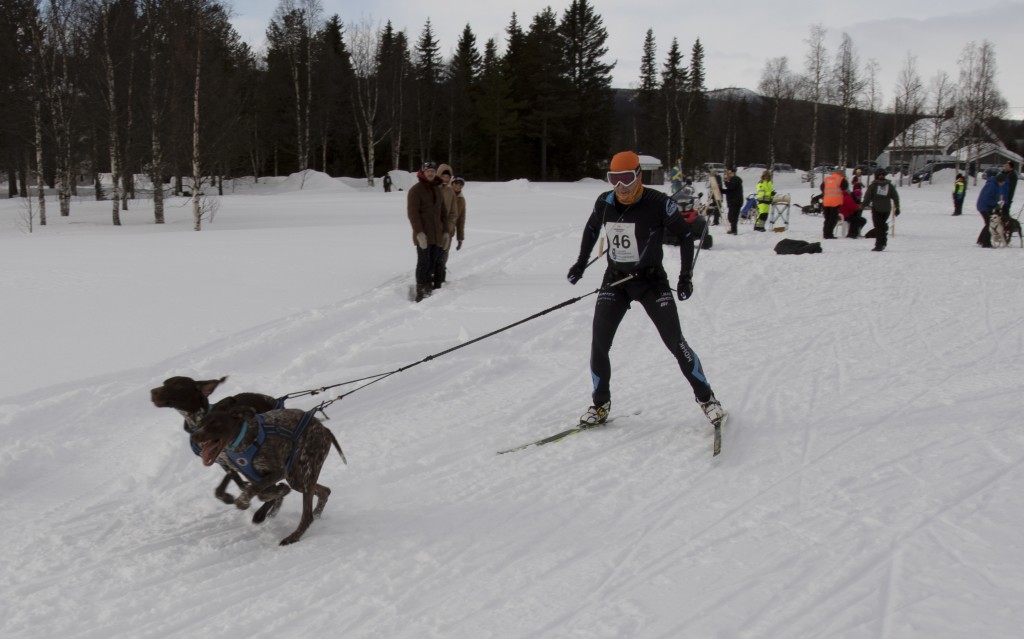 draget038.jpg