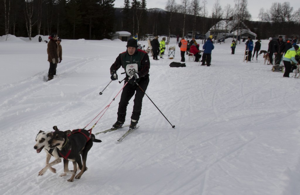 draget039.jpg
