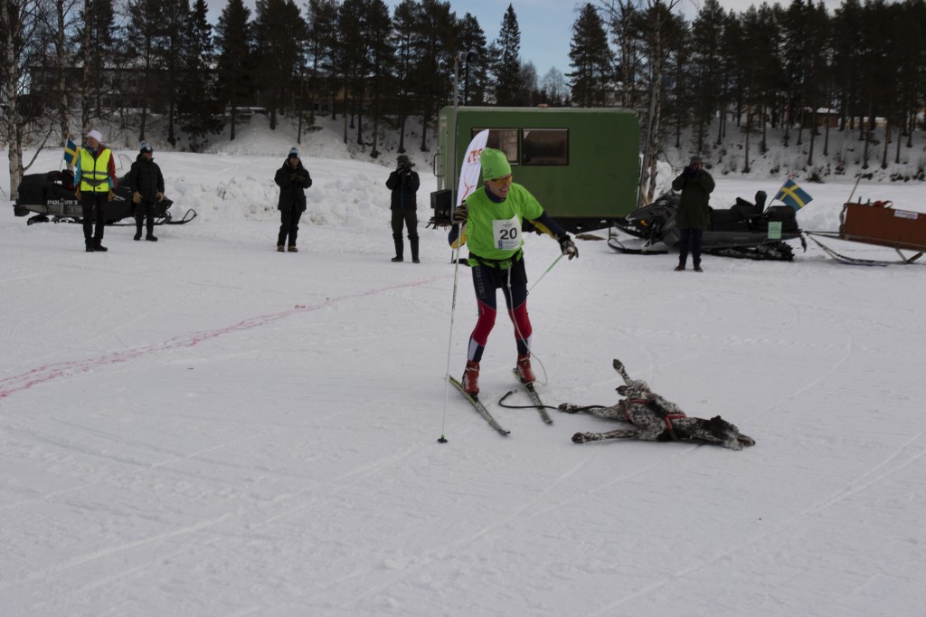 draget058.jpg