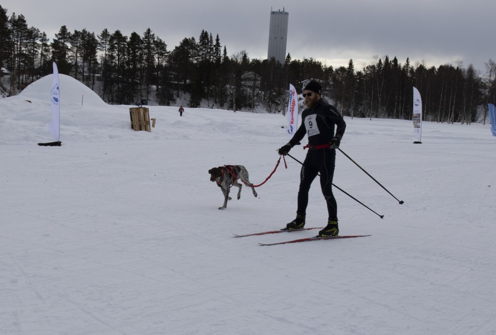 draget060.jpg