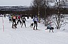 draget009.jpg draget009.jpg