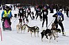 draget012.jpg draget012.jpg