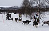 draget014.jpg draget014.jpg
