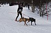 draget015.jpg draget015.jpg