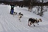 draget019.jpg draget019.jpg