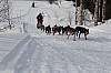 draget022.jpg draget022.jpg
