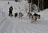 draget026.jpg draget026.jpg